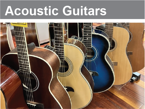 “Shop Acoustic Guitars